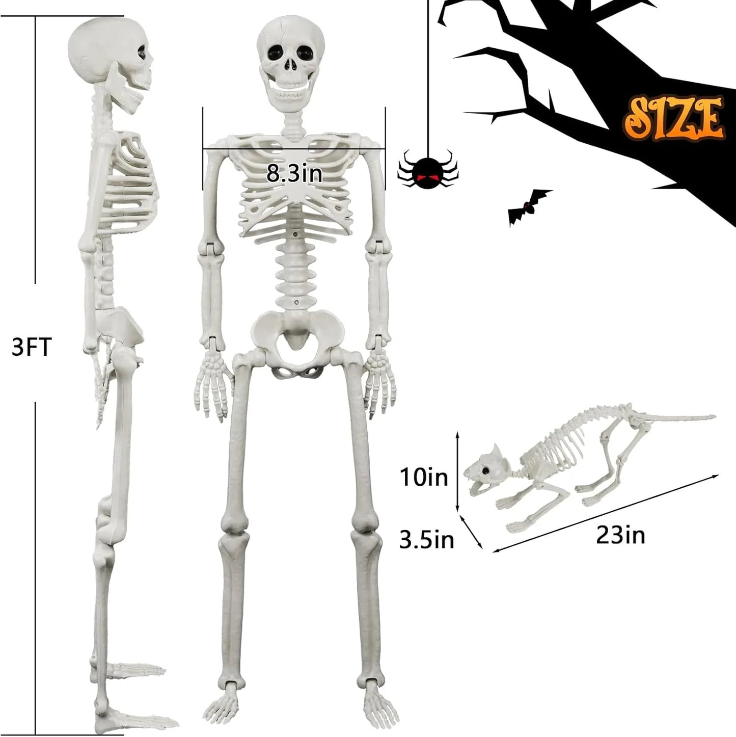 🎃👻36-inch lifelike human skeleton💀 and dog🐕, skeleton and cat🐱, can be posed in any position, perfect for Halloween.