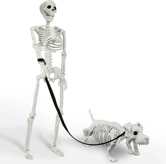 🎃👻36-inch lifelike human skeleton💀 and dog🐕, skeleton and cat🐱, can be posed in any position, perfect for Halloween.