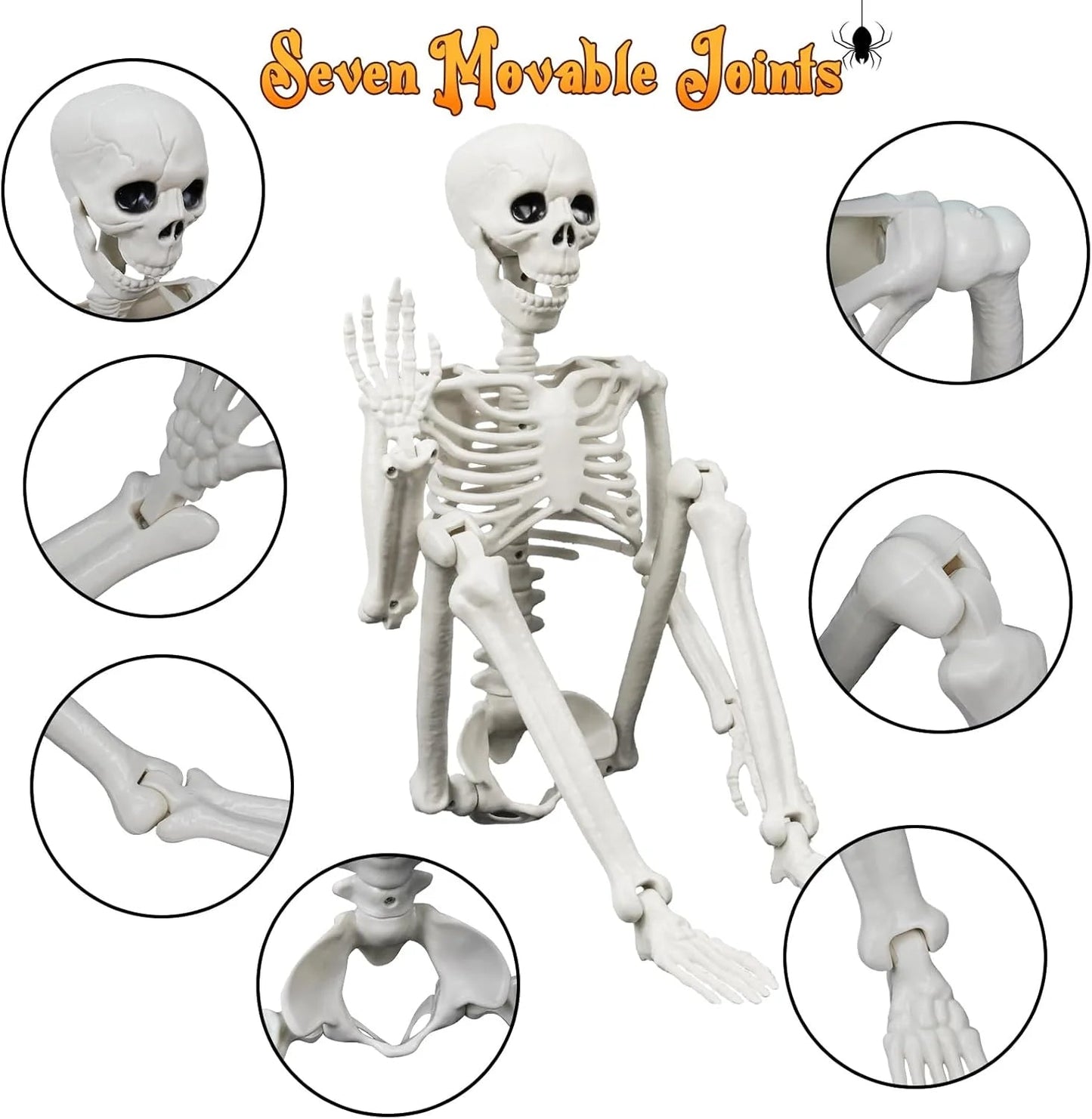 🎃👻36-inch lifelike human skeleton💀 and dog🐕, skeleton and cat🐱, can be posed in any position, perfect for Halloween.