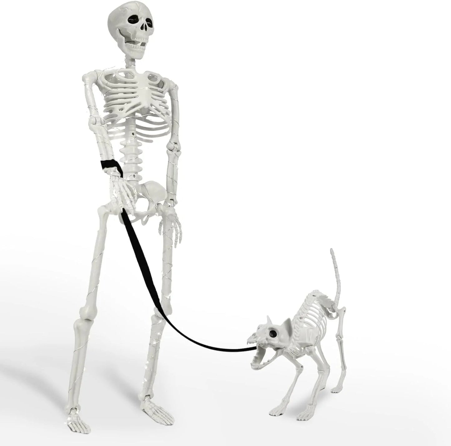 🎃👻36-inch lifelike human skeleton💀 and dog🐕, skeleton and cat🐱, can be posed in any position, perfect for Halloween.