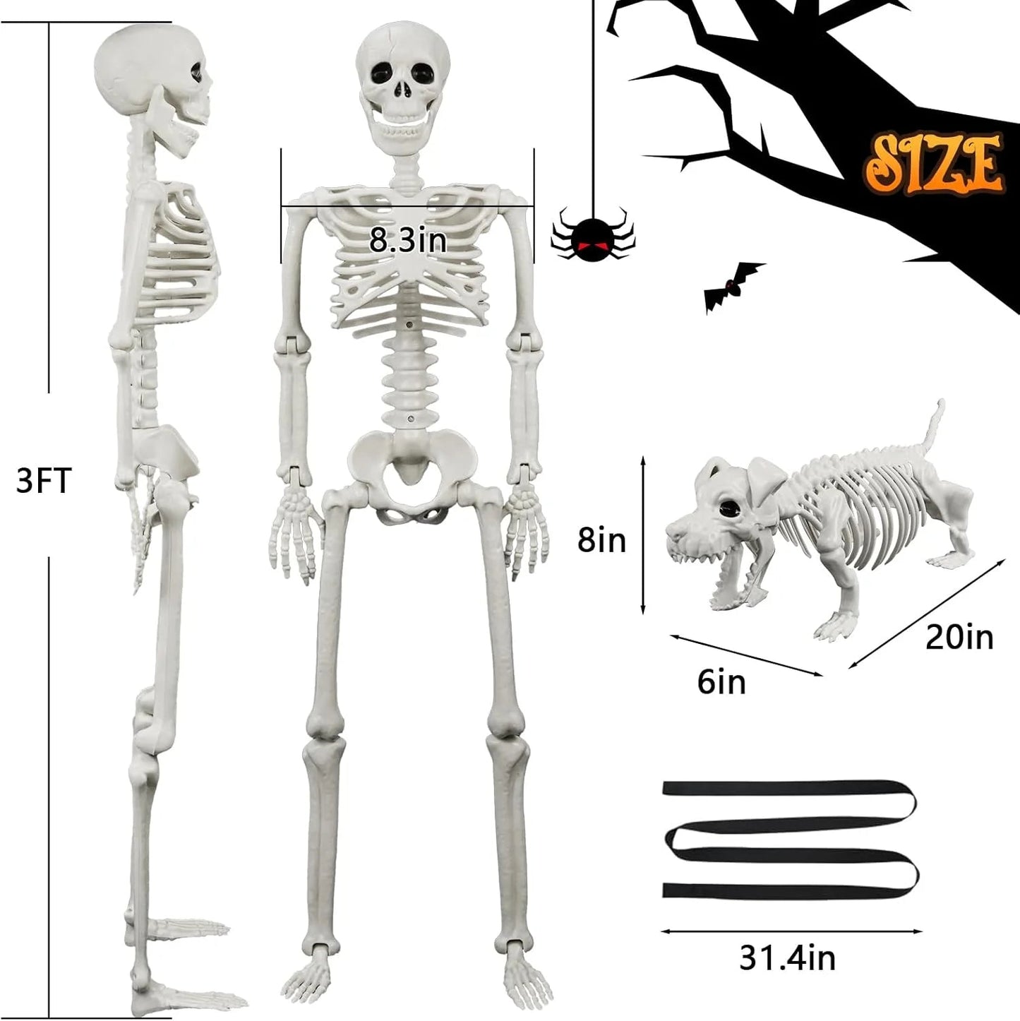 🎃👻36-inch lifelike human skeleton💀 and dog🐕, skeleton and cat🐱, can be posed in any position, perfect for Halloween.