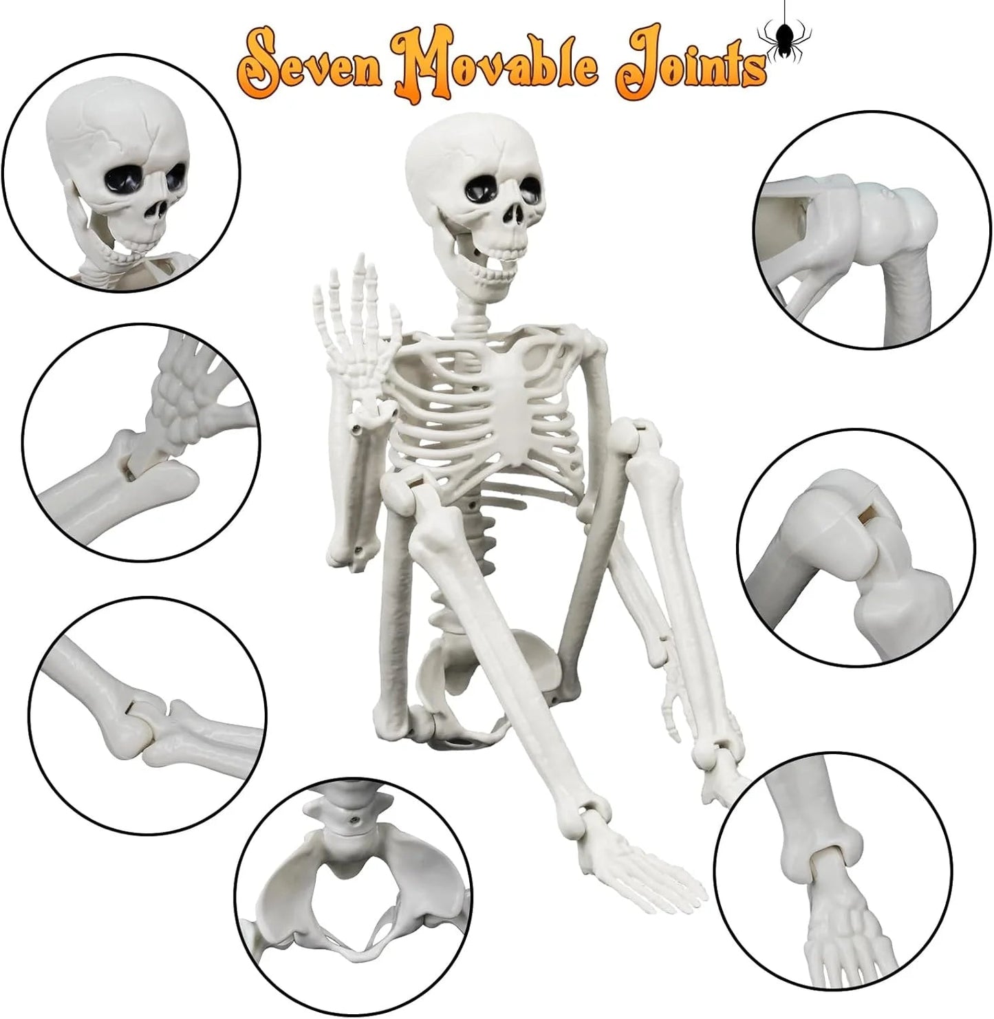 🎃👻36-inch lifelike human skeleton💀 and dog🐕, skeleton and cat🐱, can be posed in any position, perfect for Halloween.